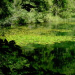 Etang